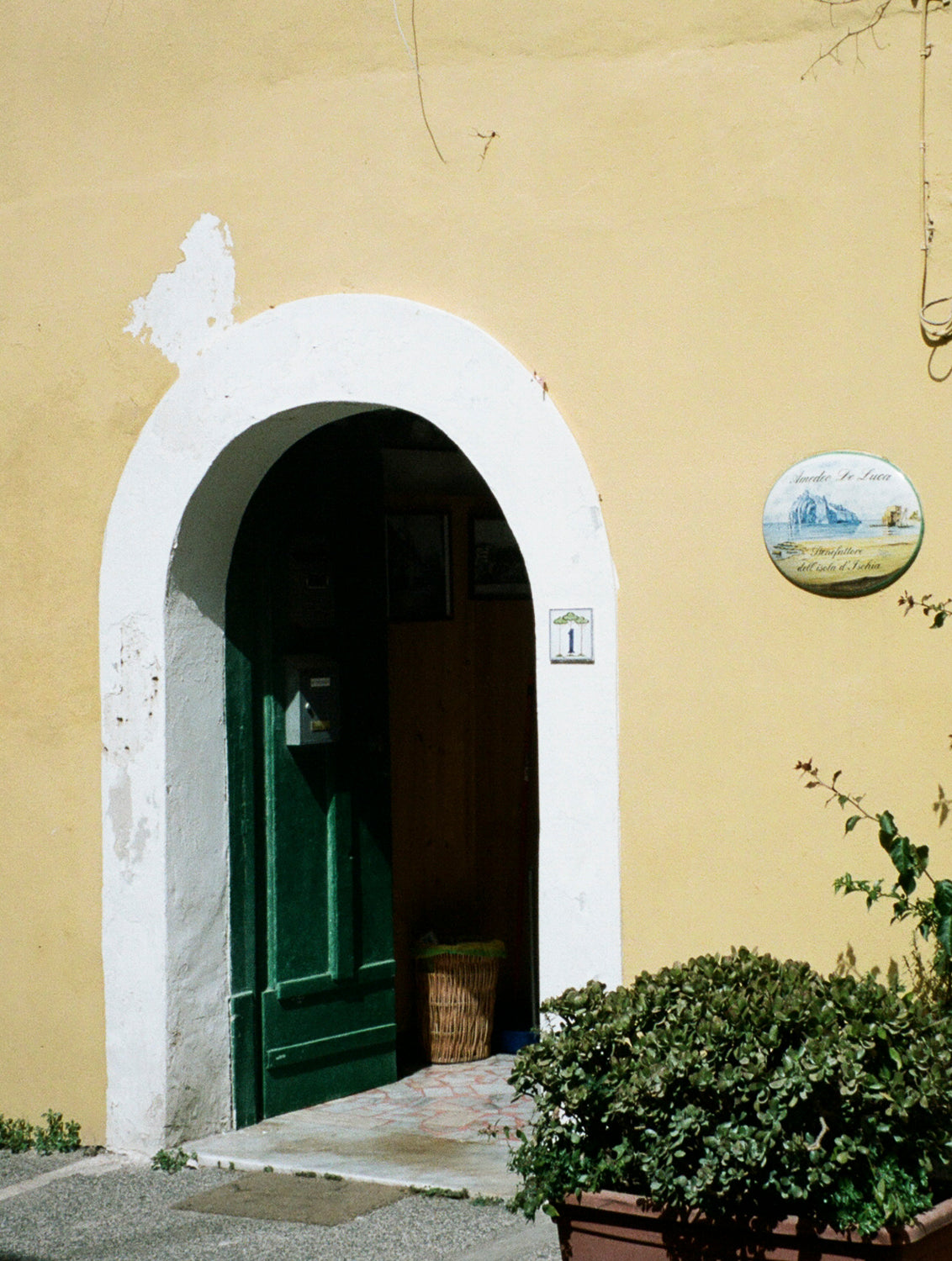 Isola D'Ischia Travel Guide