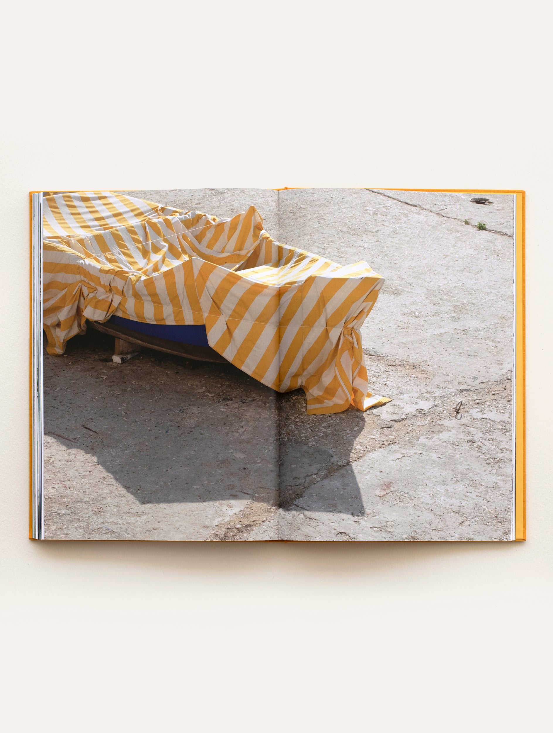 The Pleasure of Leisure Book