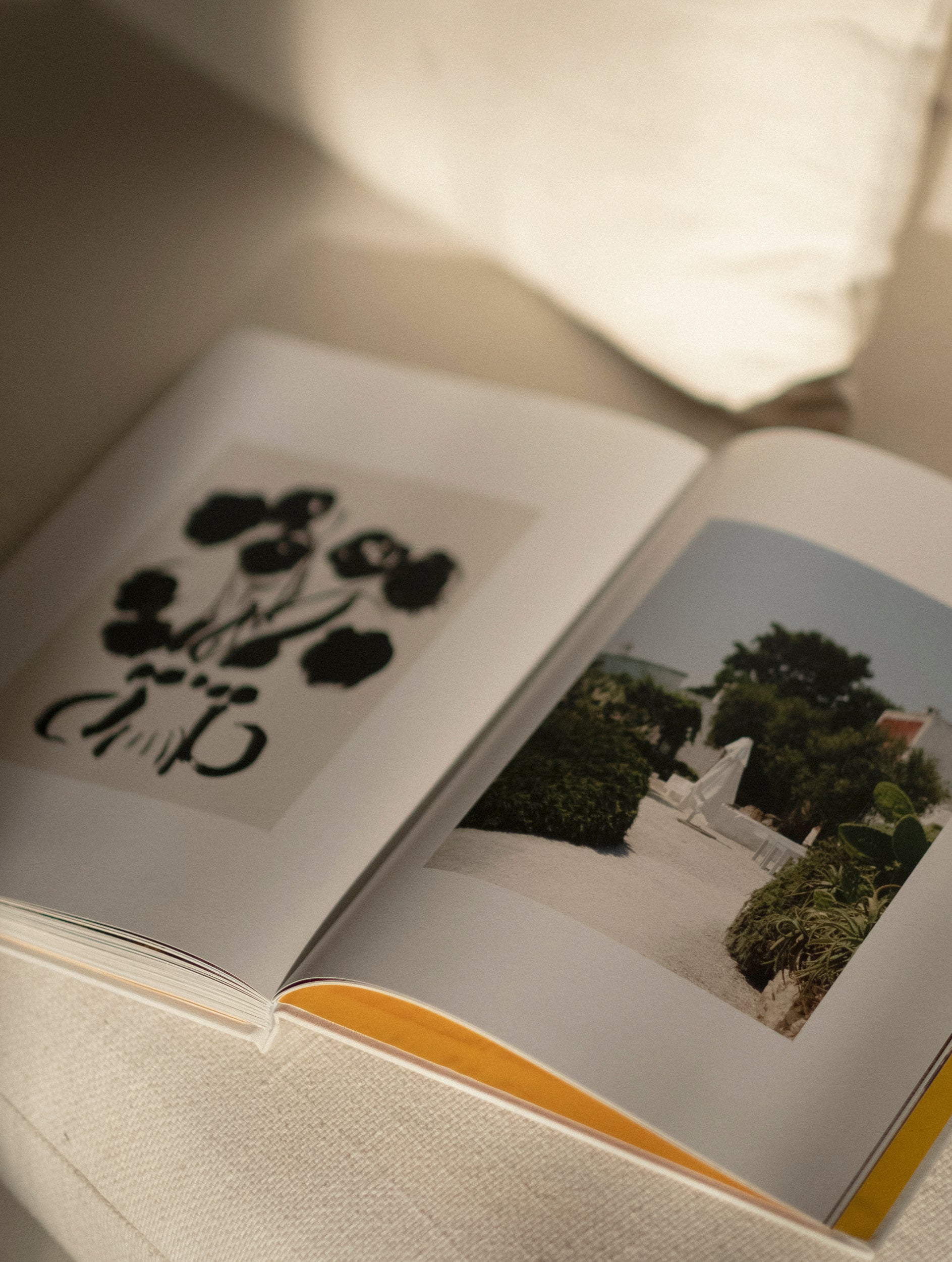The Pleasure of Leisure Book