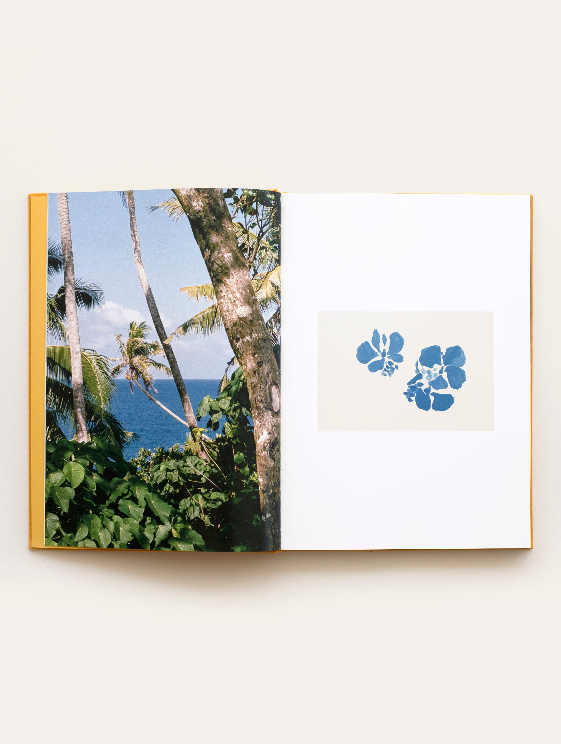 The Pleasure of Leisure Book