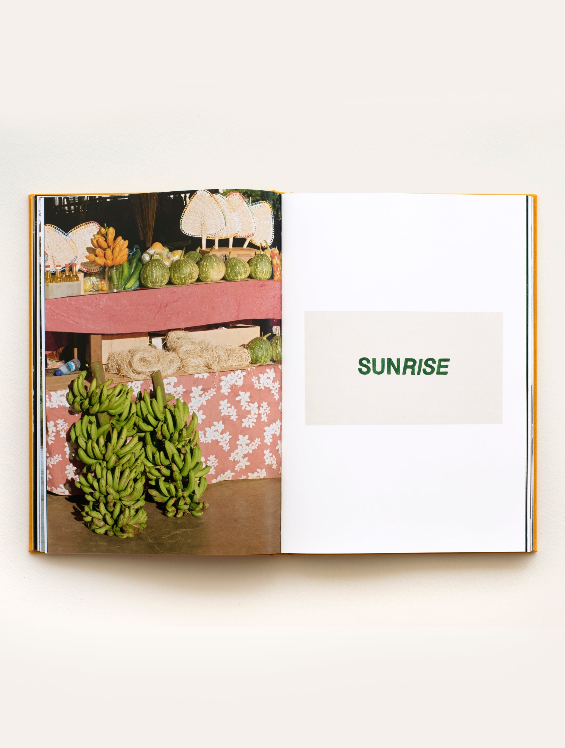 The Pleasure of Leisure Book