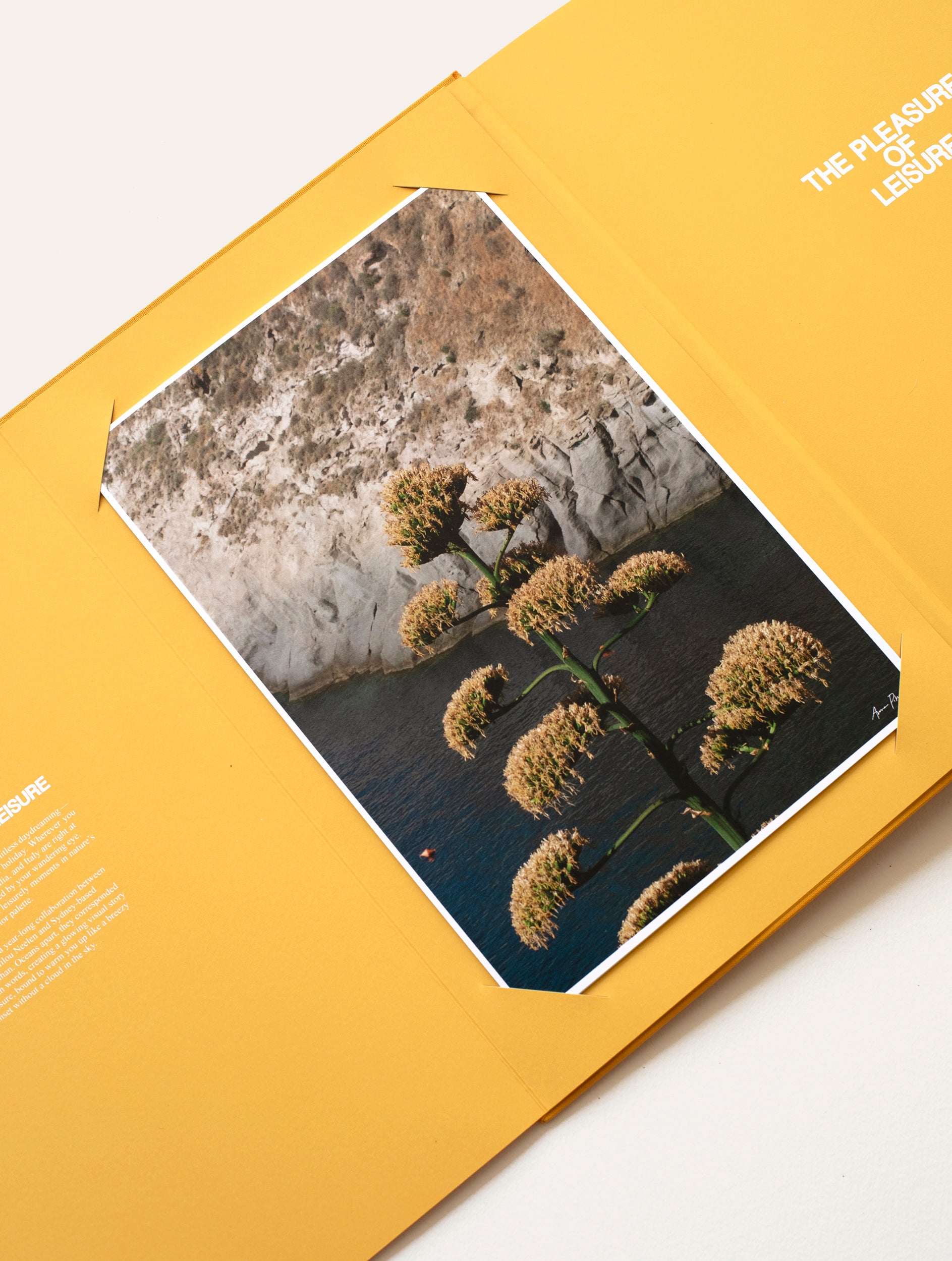 The Pleasure of Leisure Book