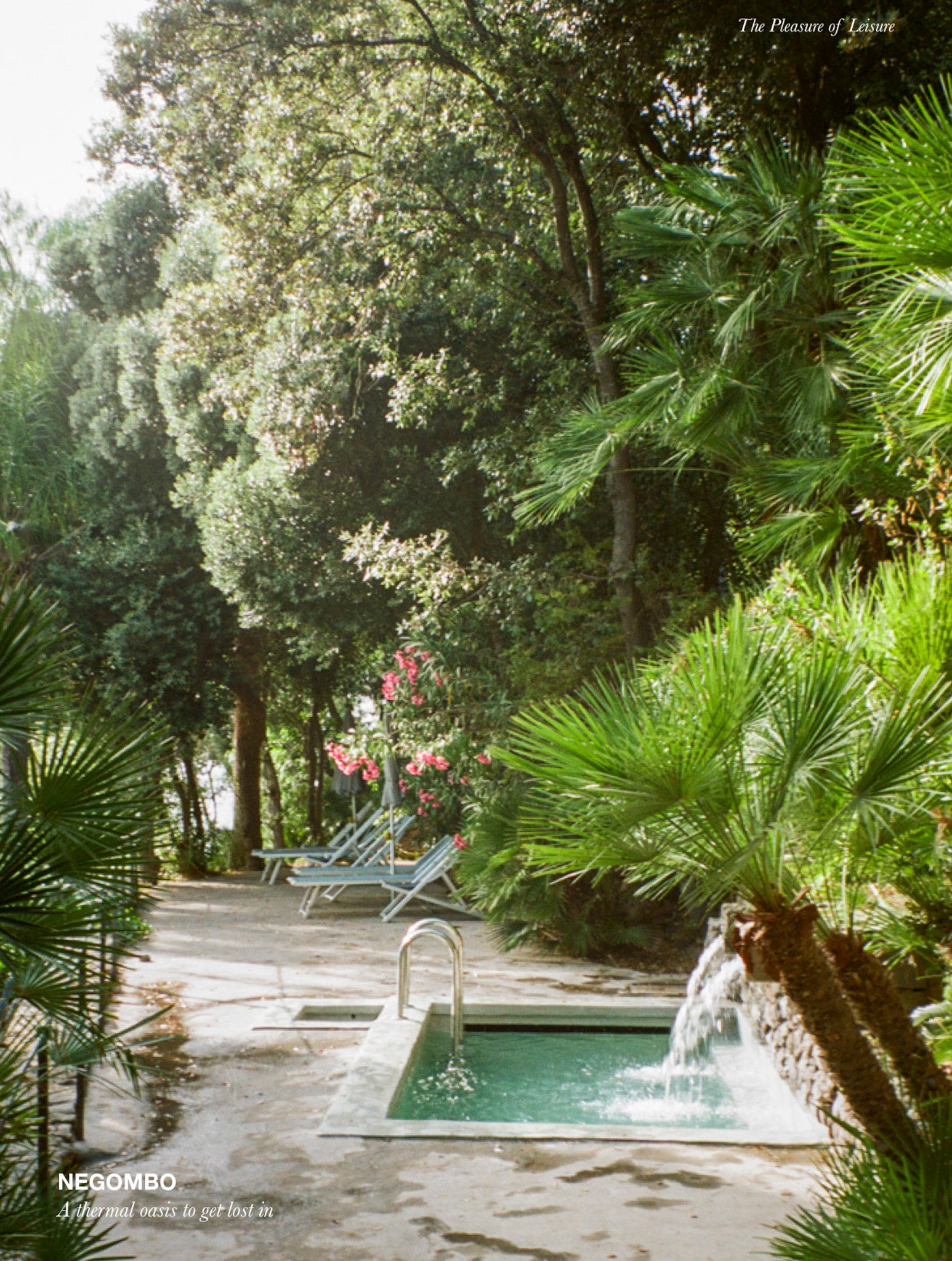 Isola D'Ischia Travel Guide