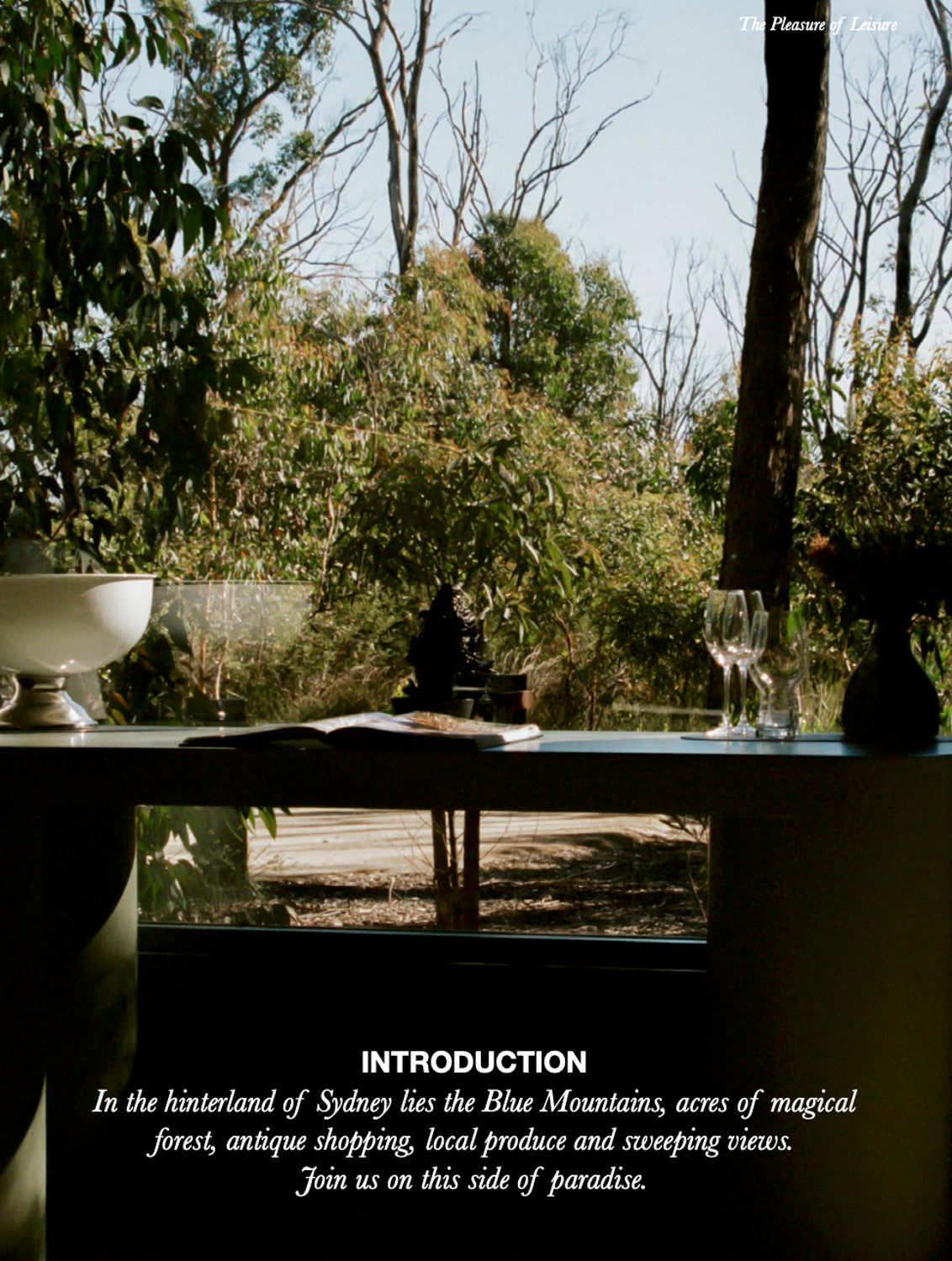 Blue Mountains Travel Guide