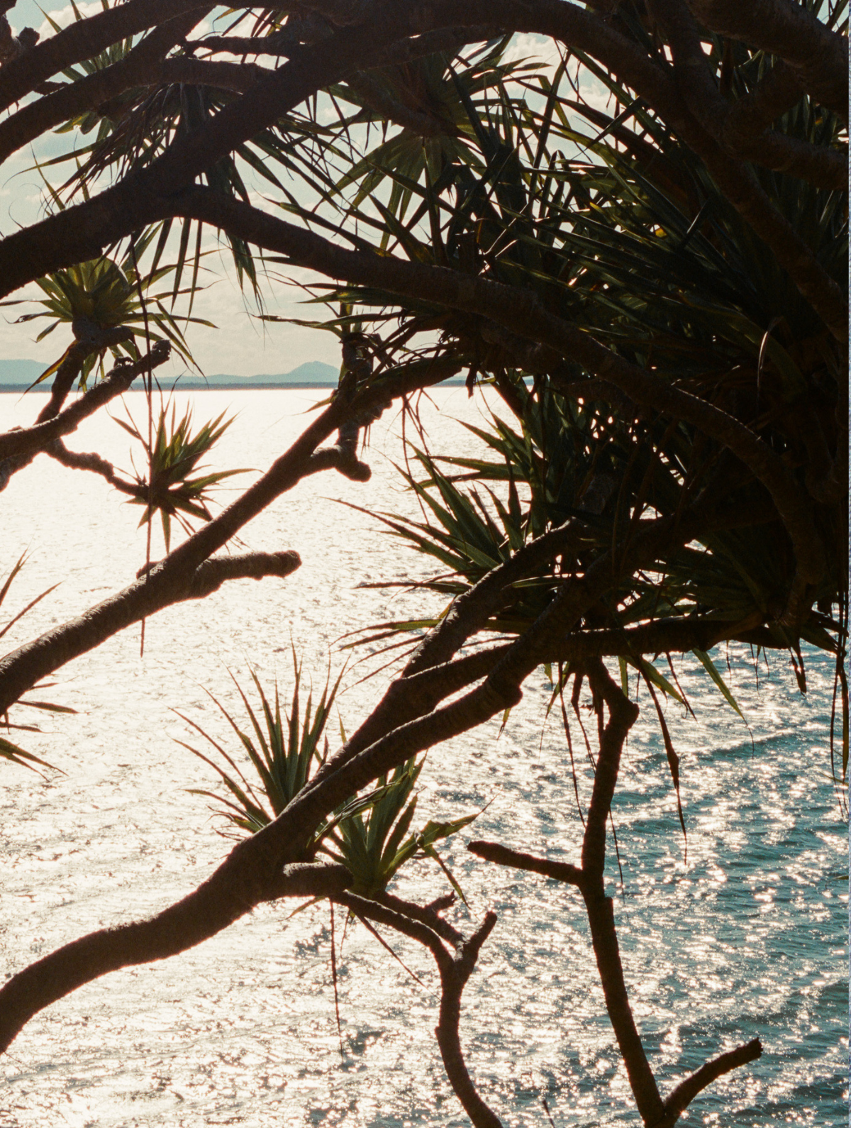 Noosa Travel Guide